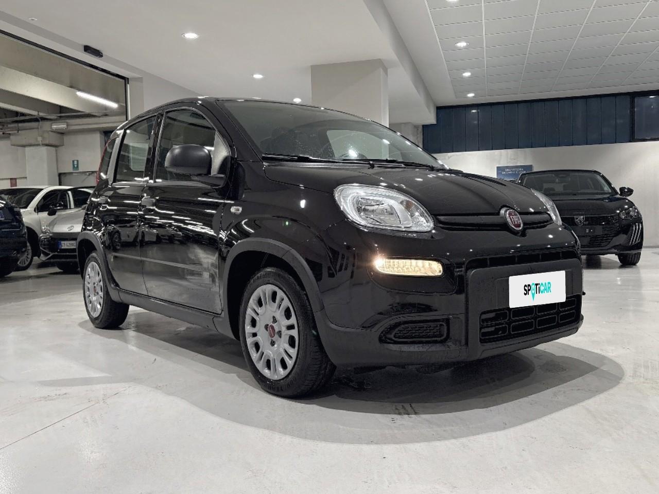Fiat Fiat Panda usata 13