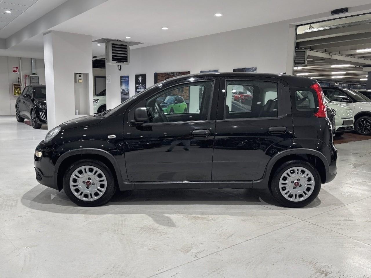 Fiat Fiat Panda usata 14