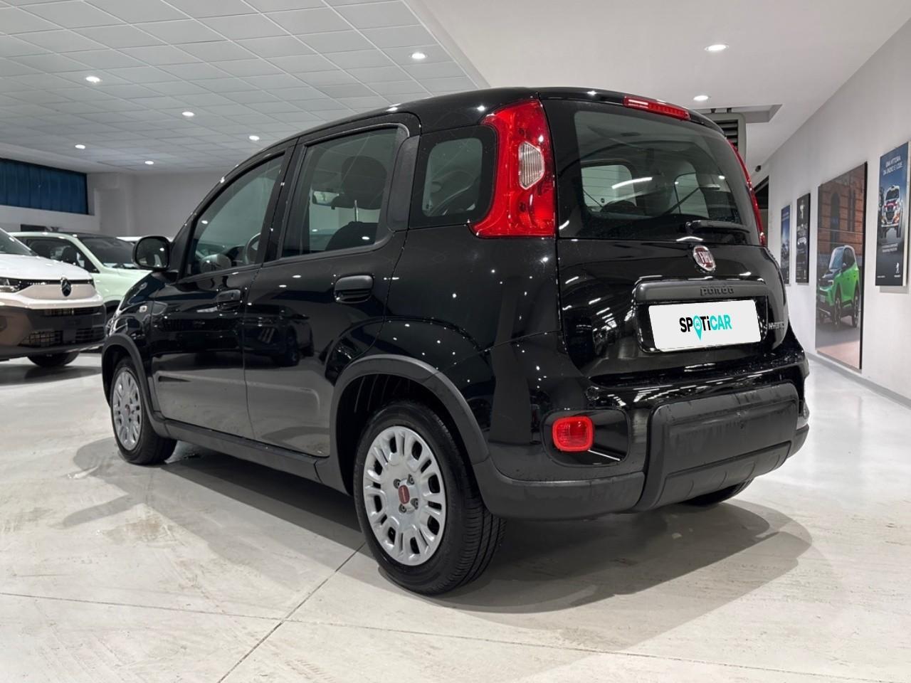 Fiat Fiat Panda usata 17