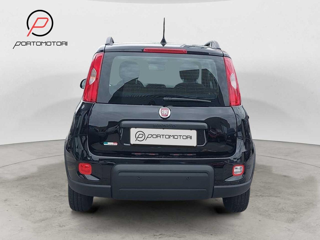 Fiat Fiat Panda usata 12