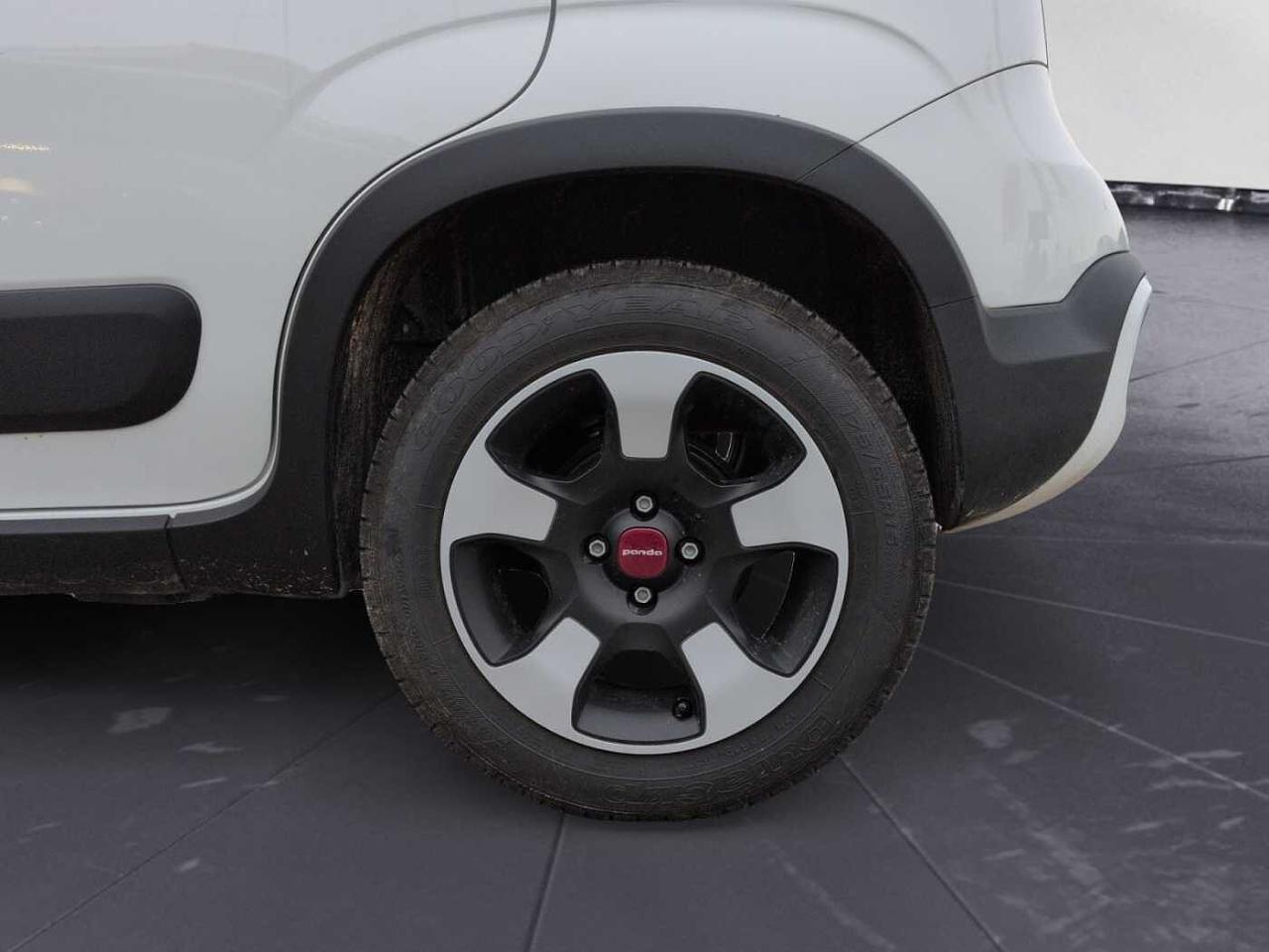 Fiat Fiat Panda usata 4