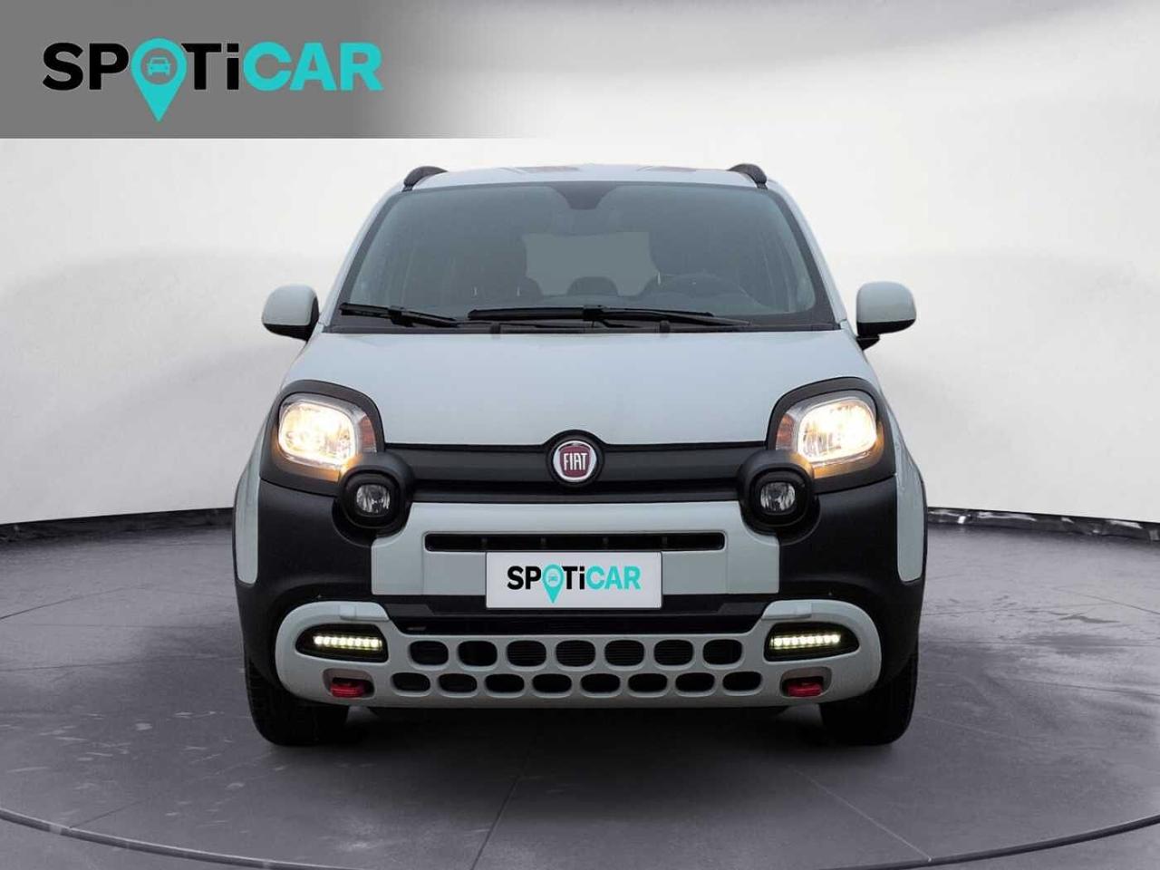 Fiat Fiat Panda usata 11