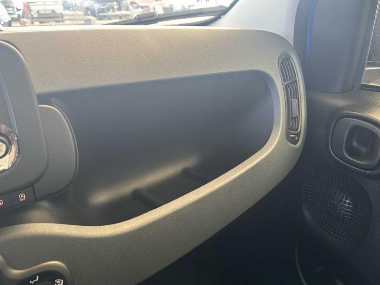 Fiat Fiat Panda usata 10