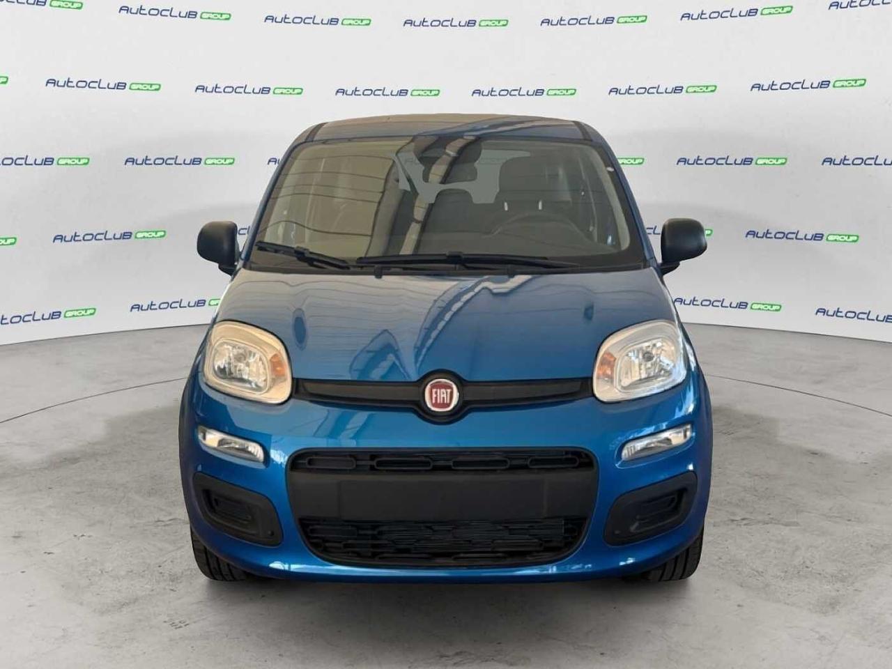 Fiat Fiat Panda usata 11