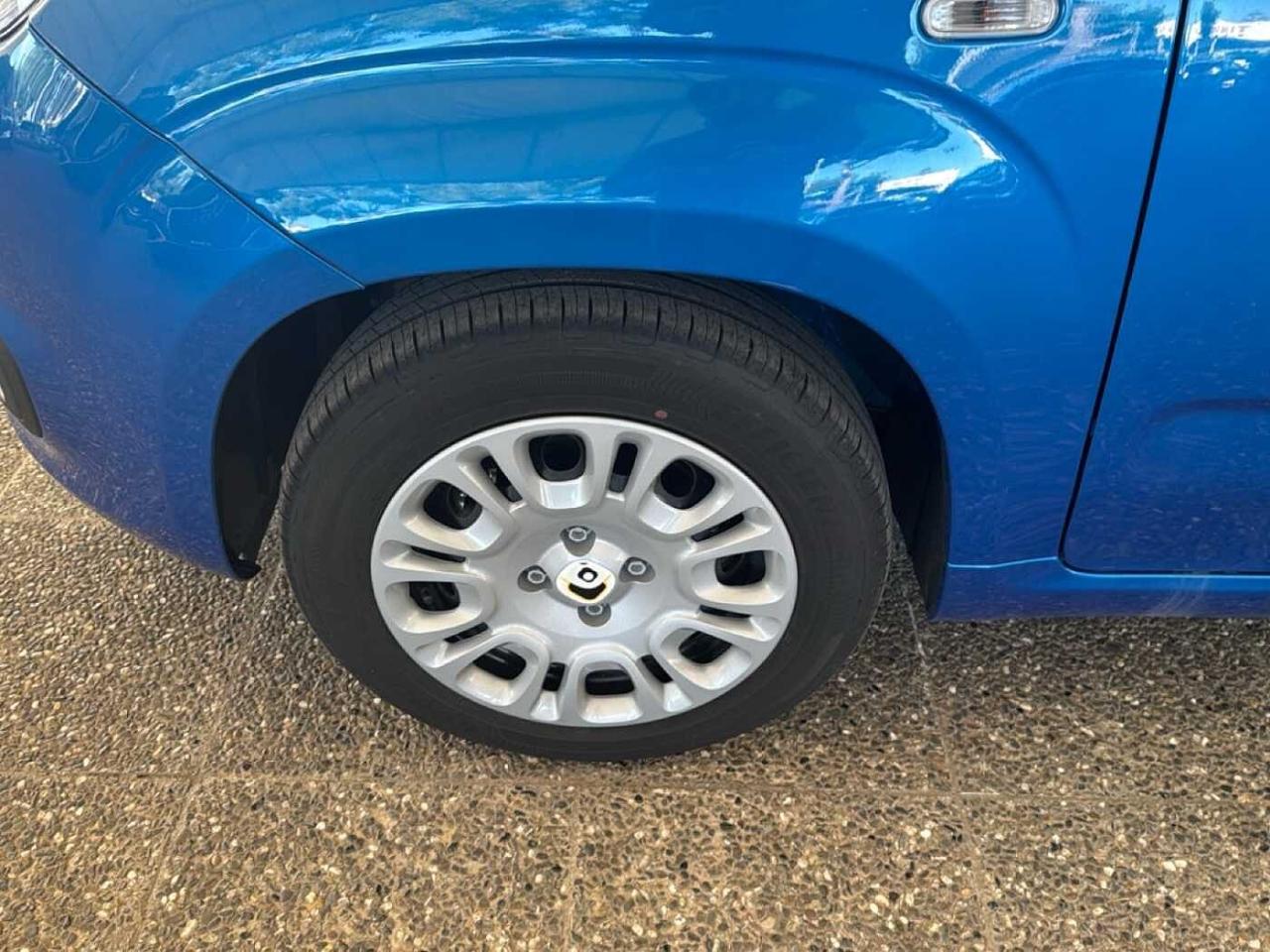 Fiat Fiat Panda usata 15