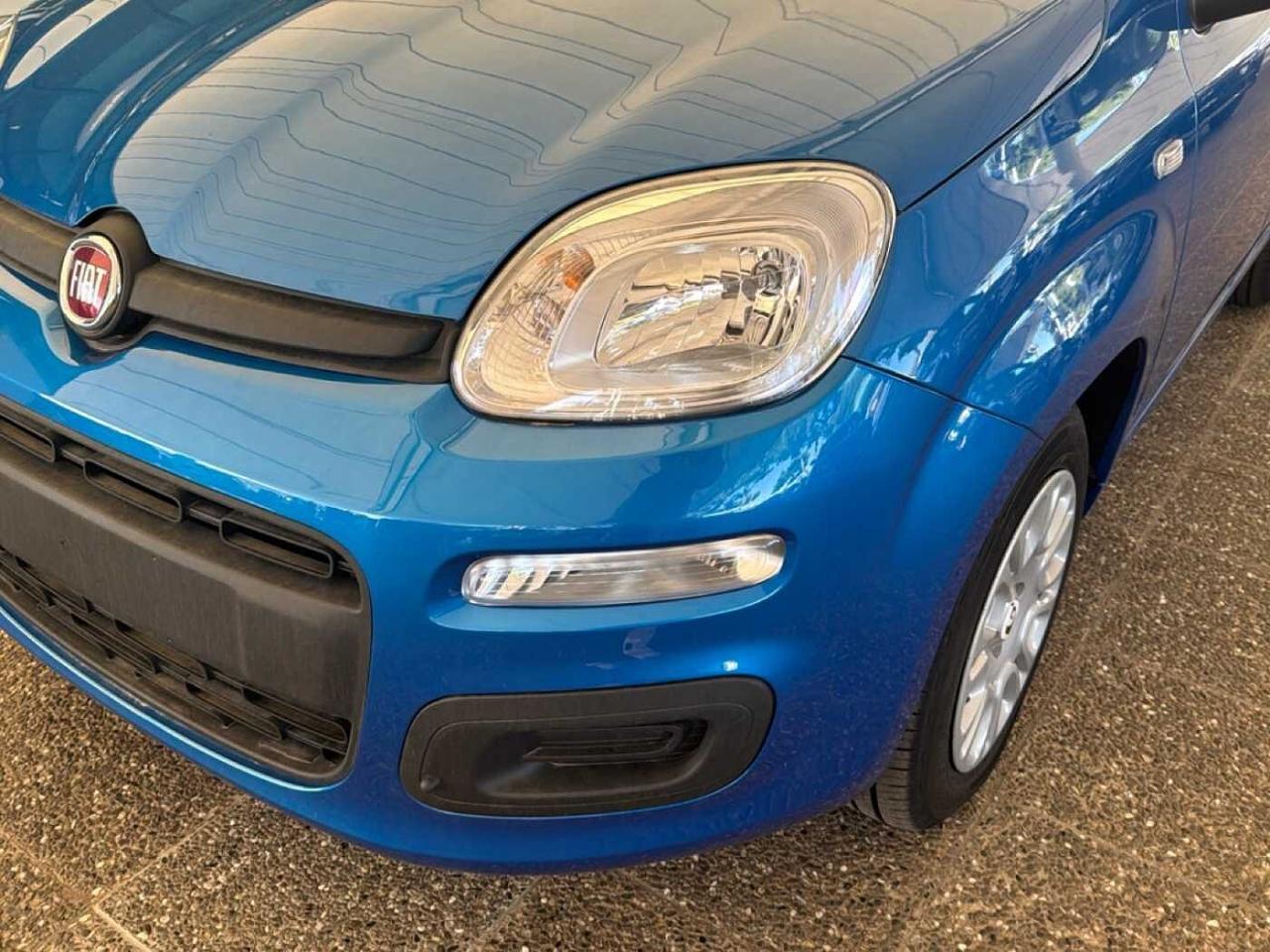 Fiat Fiat Panda usata 16