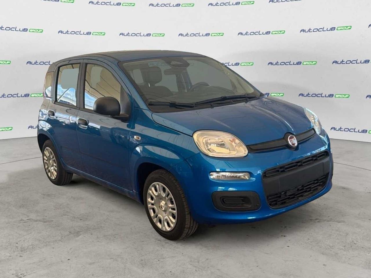 Fiat Fiat Panda usata 17