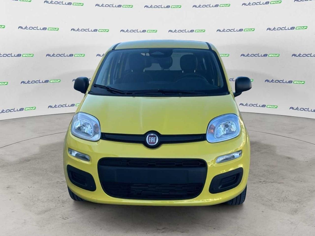 Fiat Fiat Panda usata 11