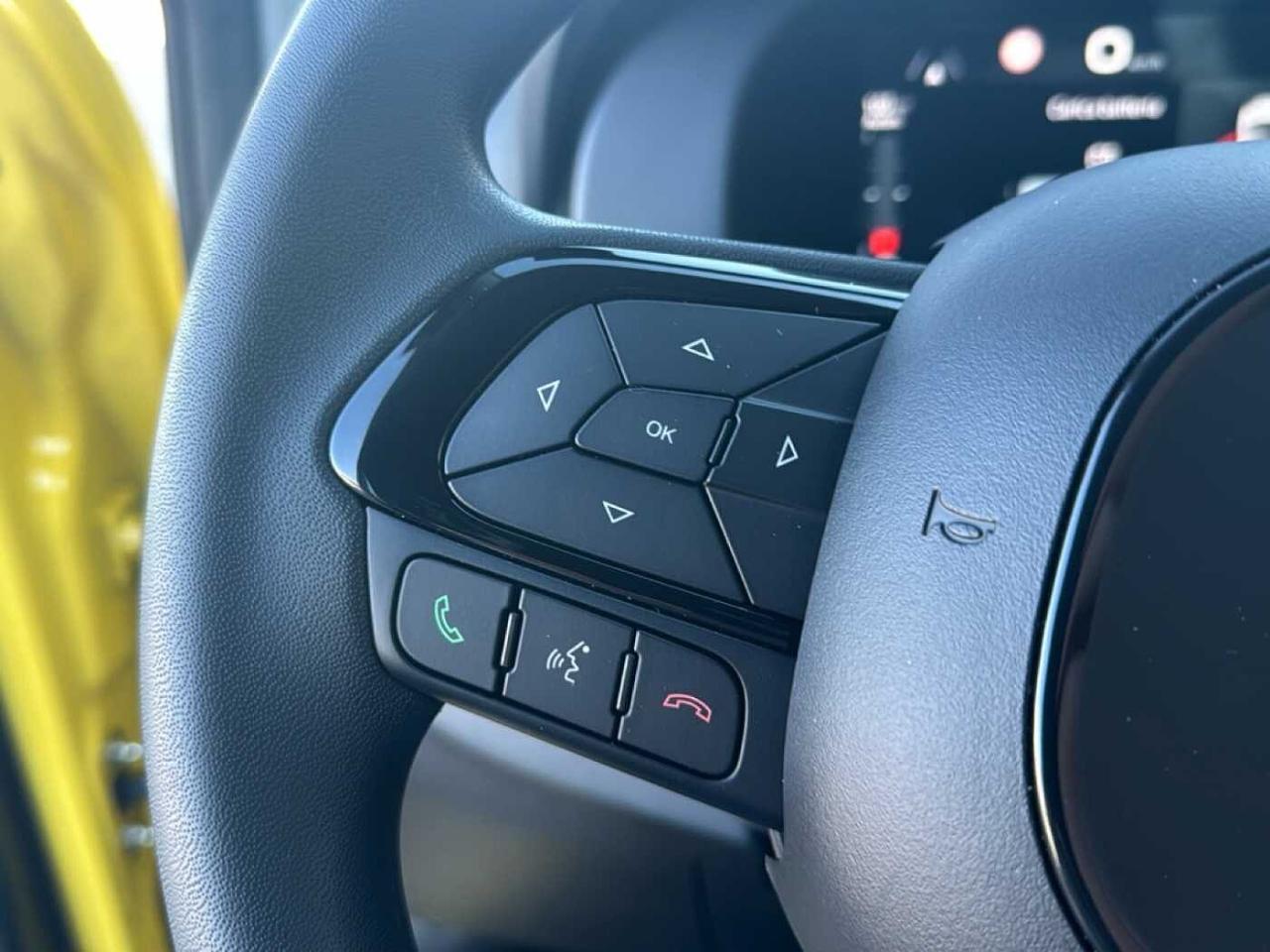 Fiat Fiat Panda usata 12