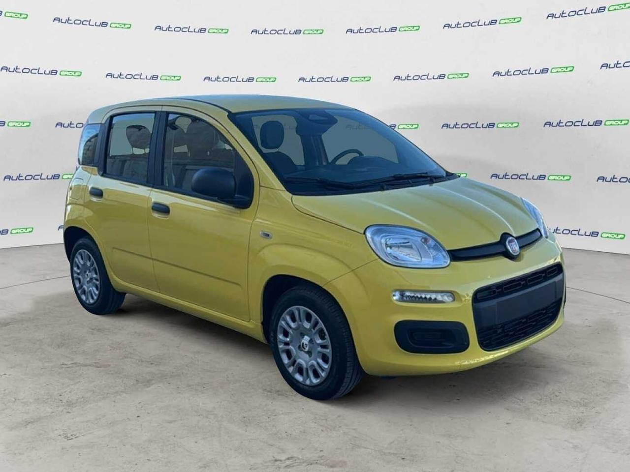 Fiat Fiat Panda usata 17