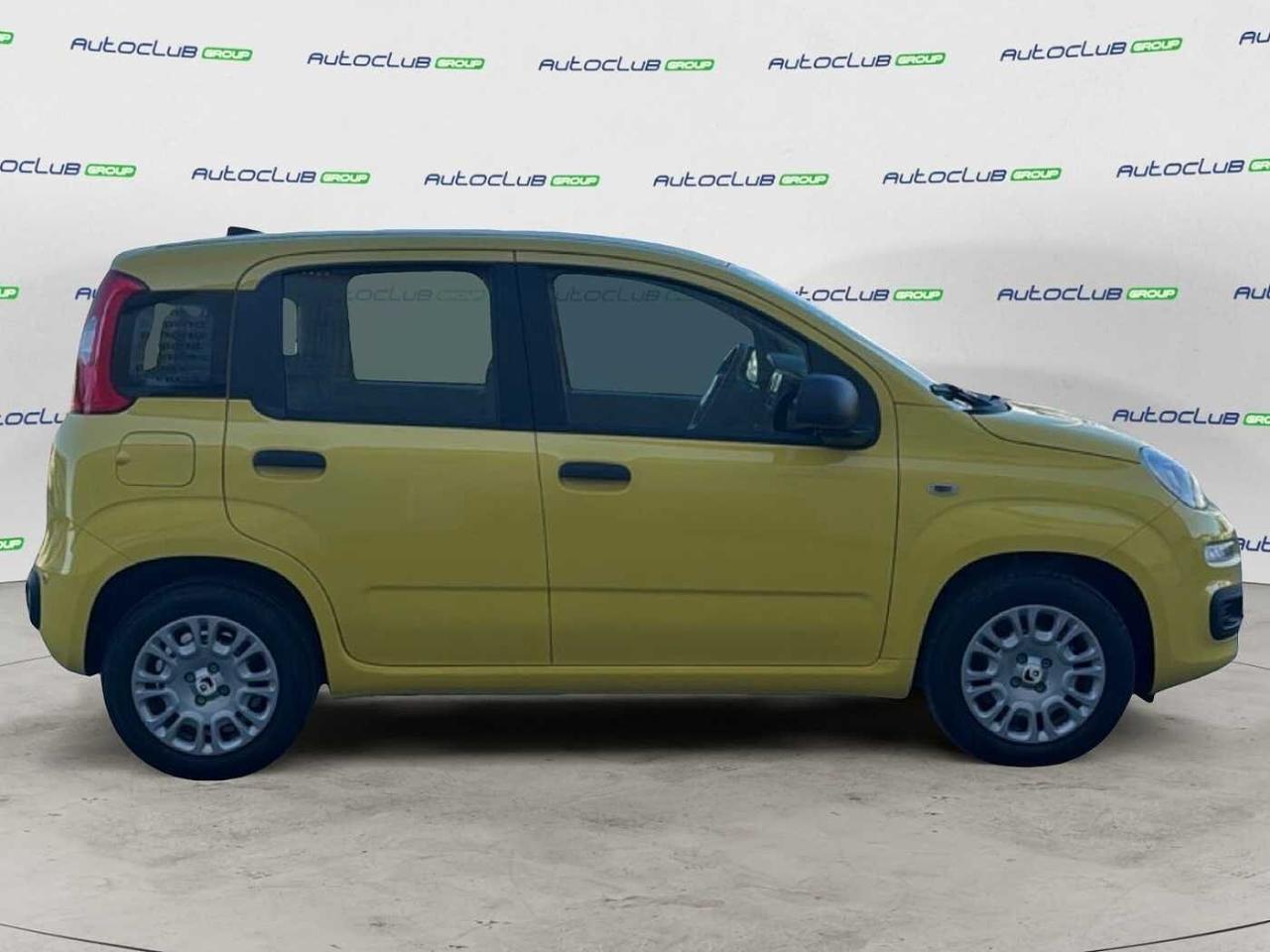 Fiat Fiat Panda usata 18