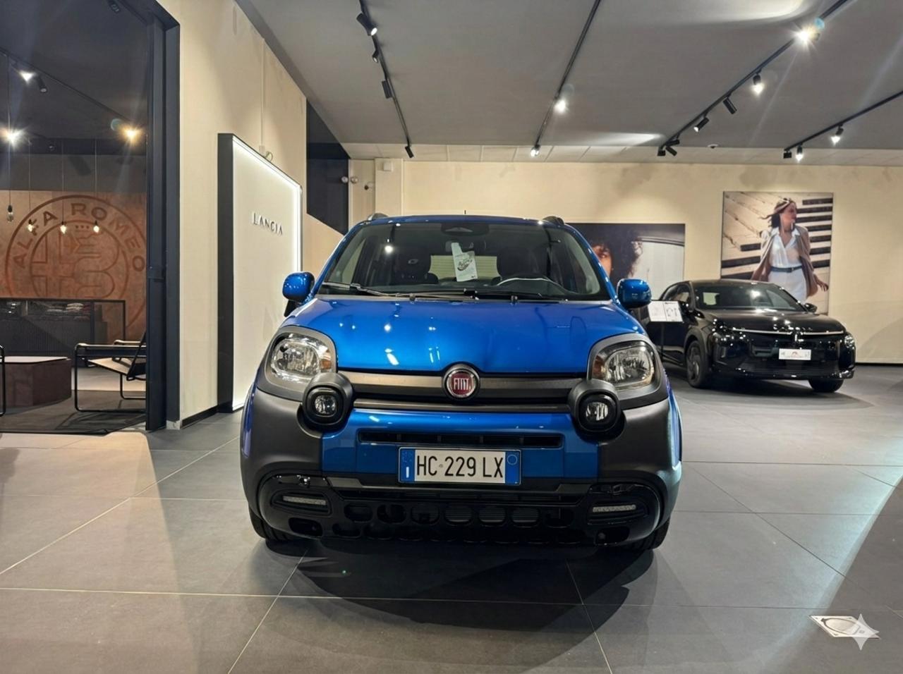 Fiat Fiat Panda usata 7