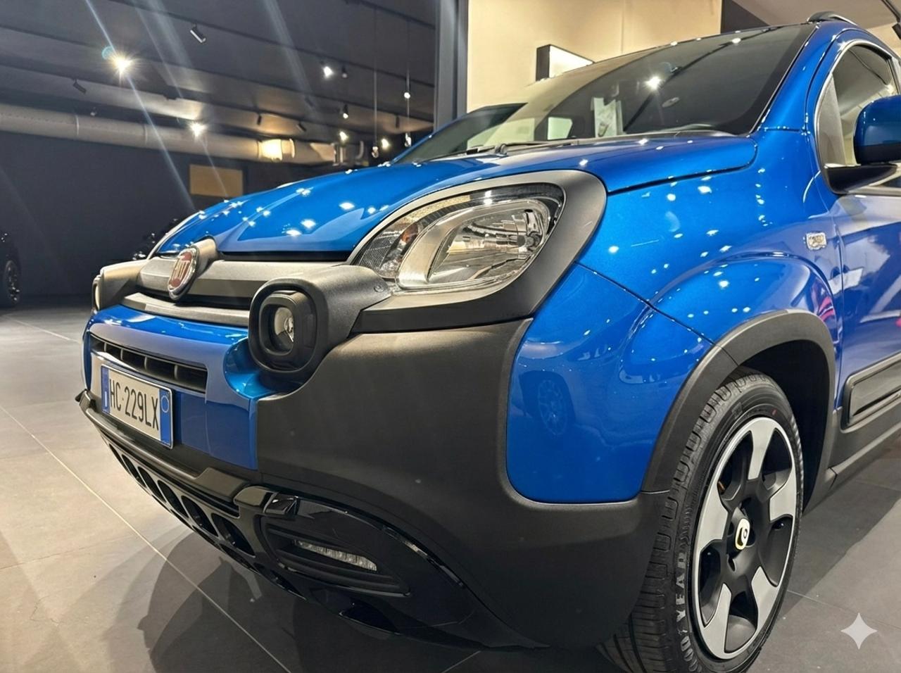 Fiat Fiat Panda usata 9