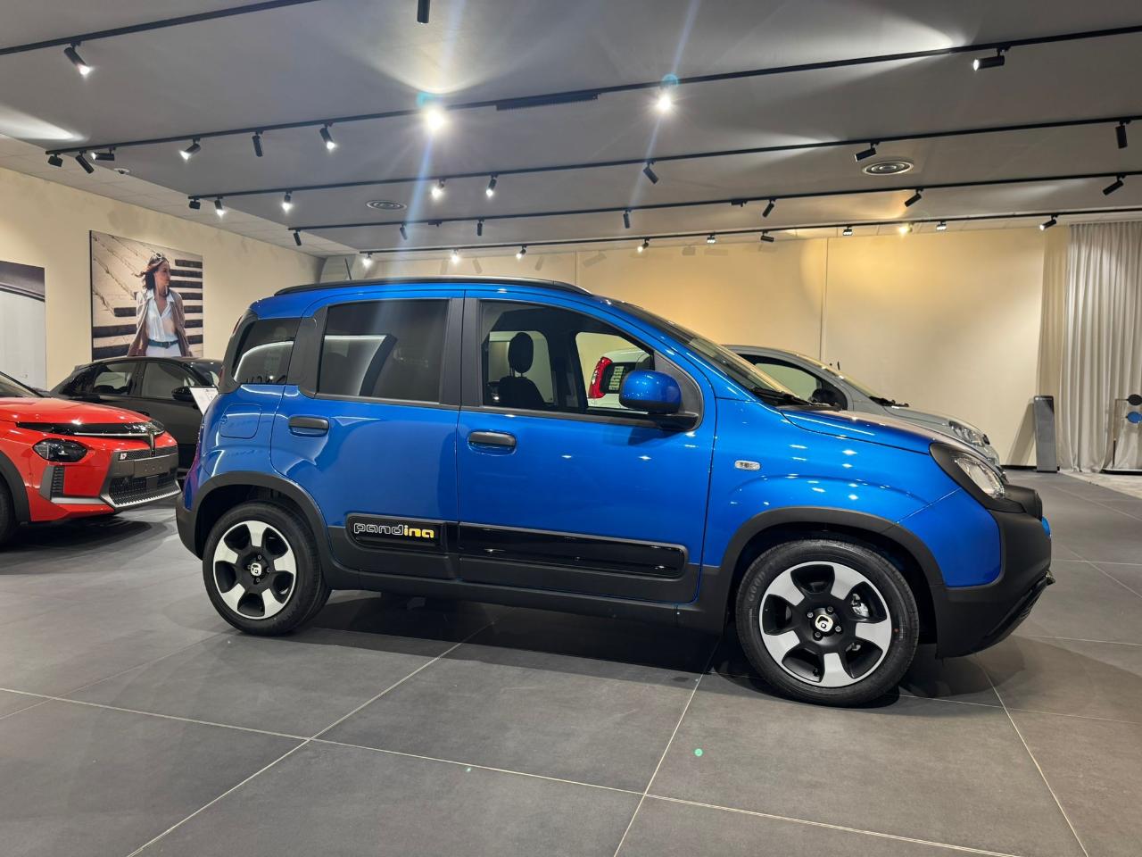 Fiat Fiat Panda usata 11