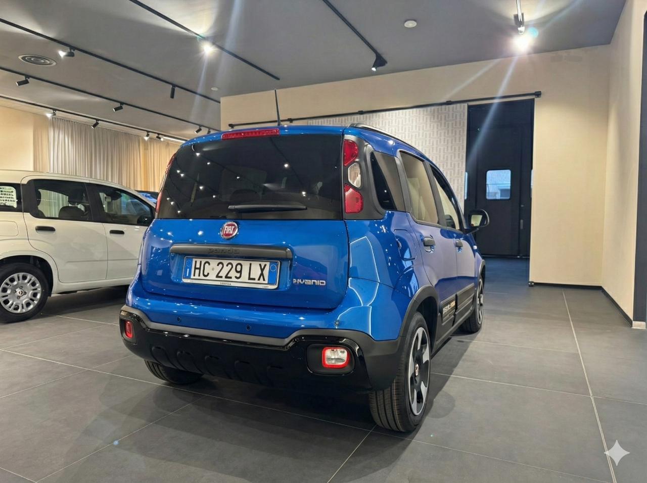 Fiat Fiat Panda usata 12