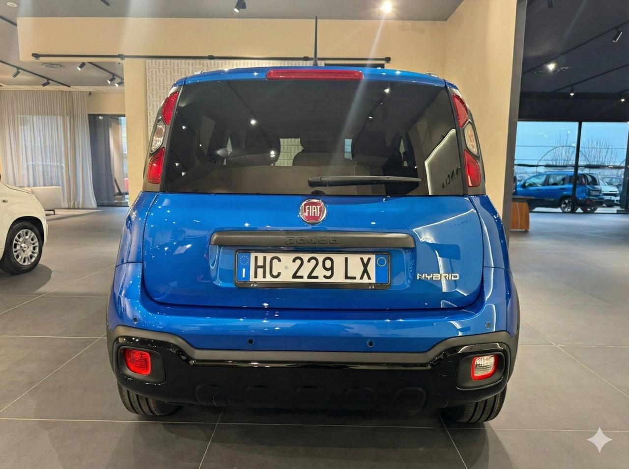 Fiat Fiat Panda usata 13