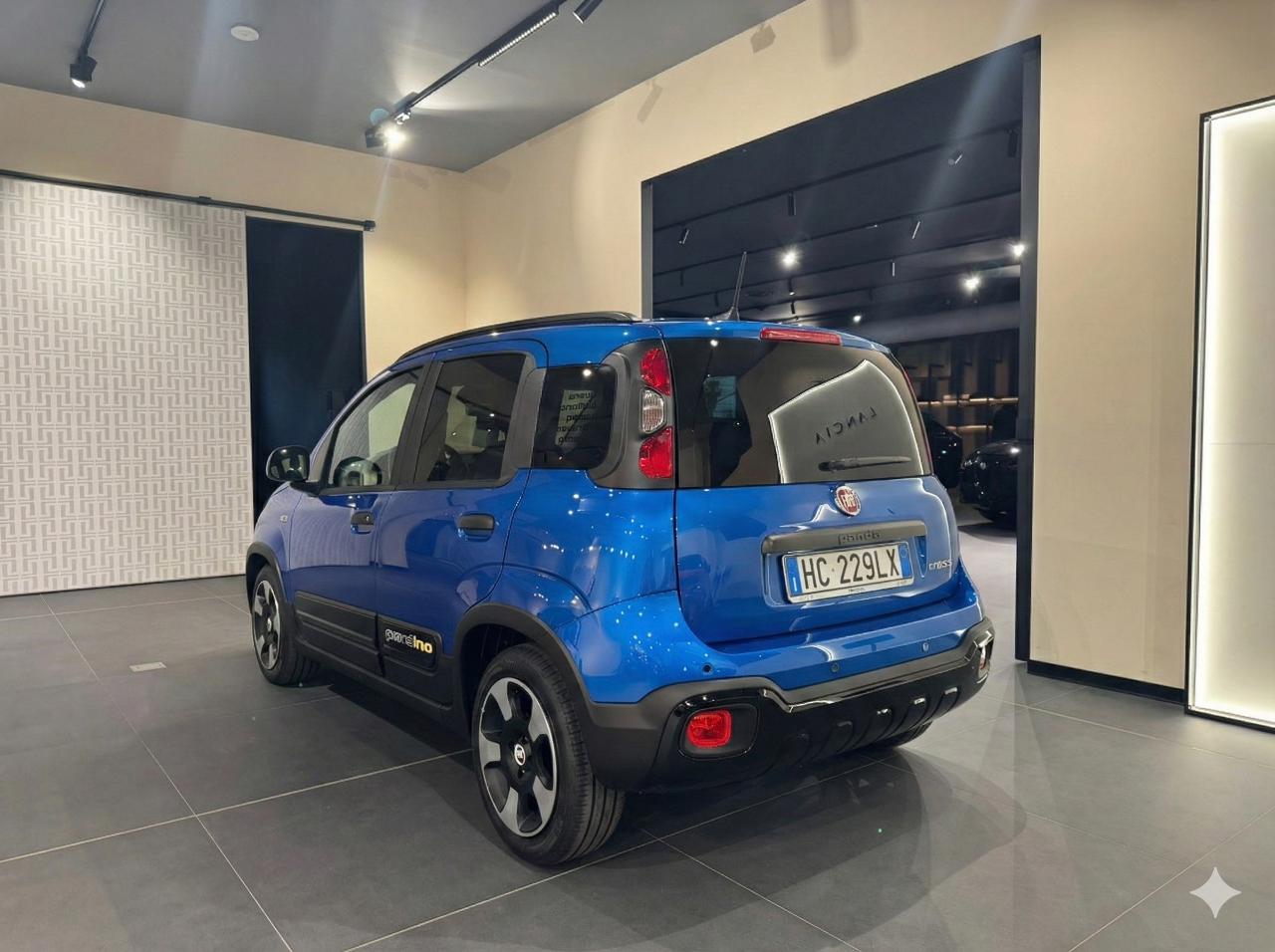 Fiat Fiat Panda usata 14