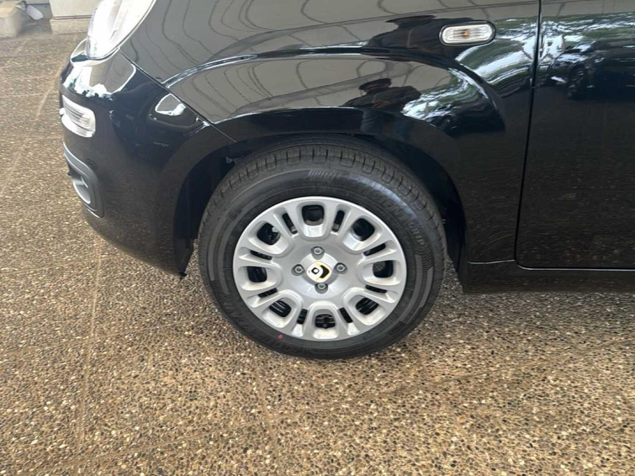 Fiat Fiat Panda usata 15