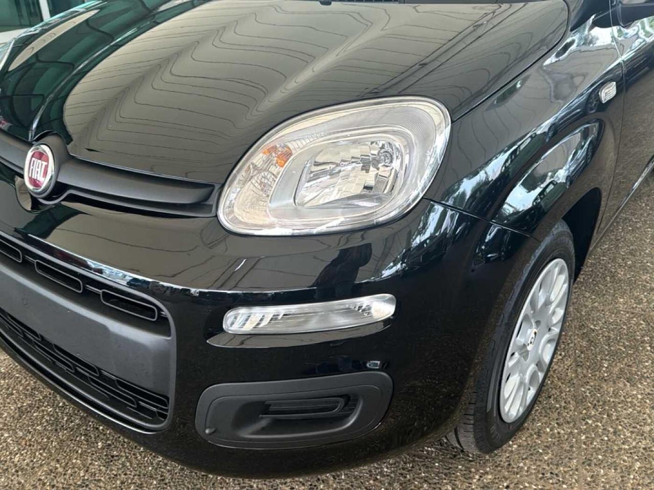 Fiat Fiat Panda usata 16