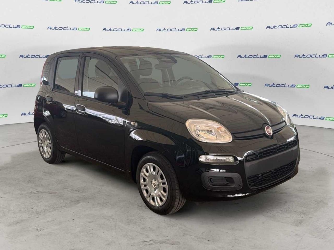 Fiat Fiat Panda usata 17