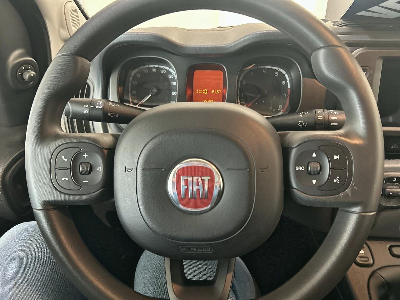 Fiat Fiat Panda usata 5