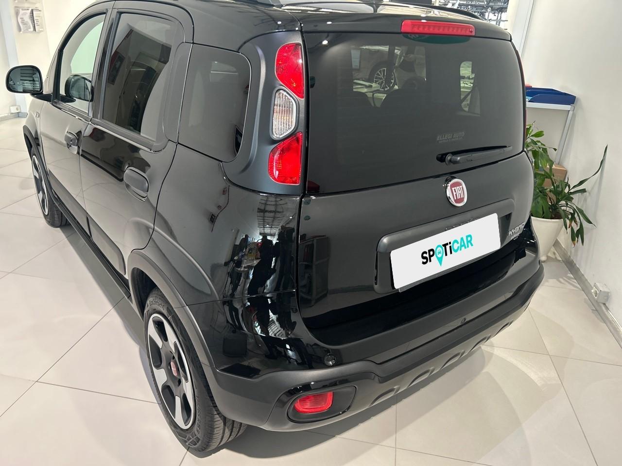Fiat Fiat Panda usata 14