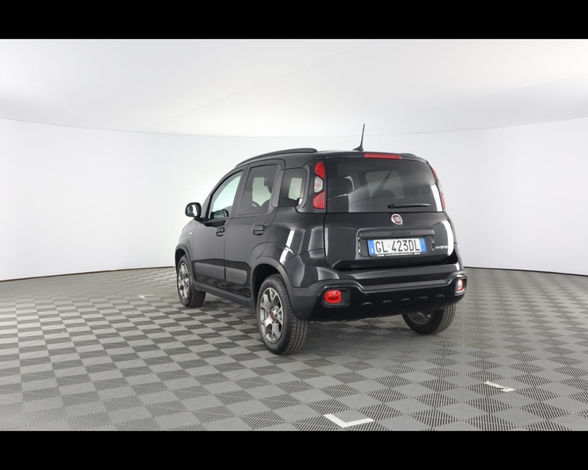 Fiat Fiat Panda usata, con Portapacchi