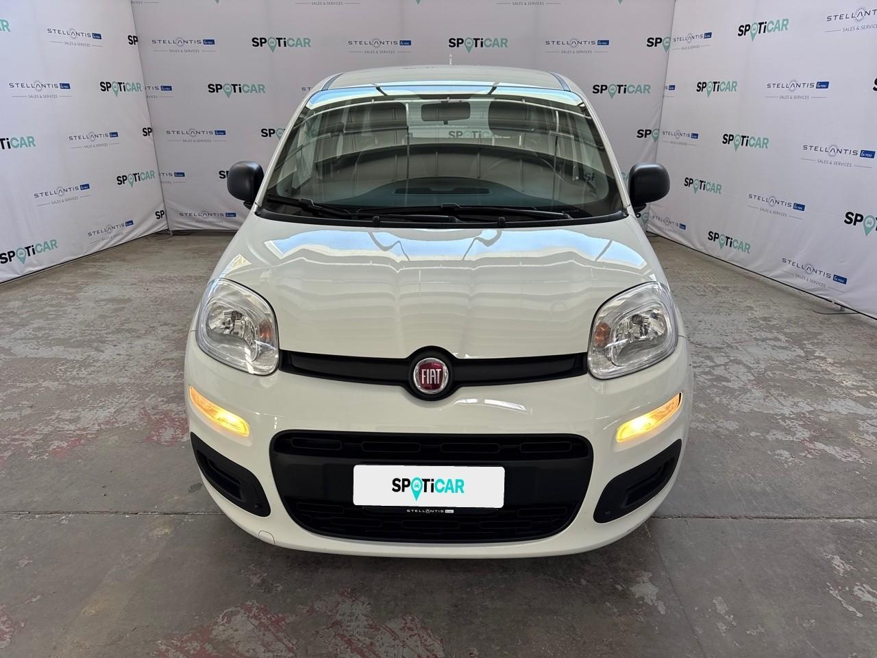 Fiat Fiat Panda usata 11