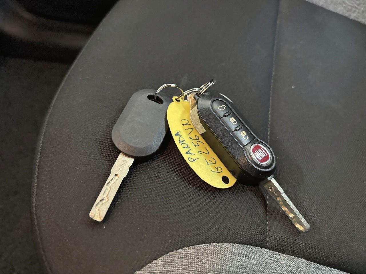 Fiat Fiat Panda usata 12