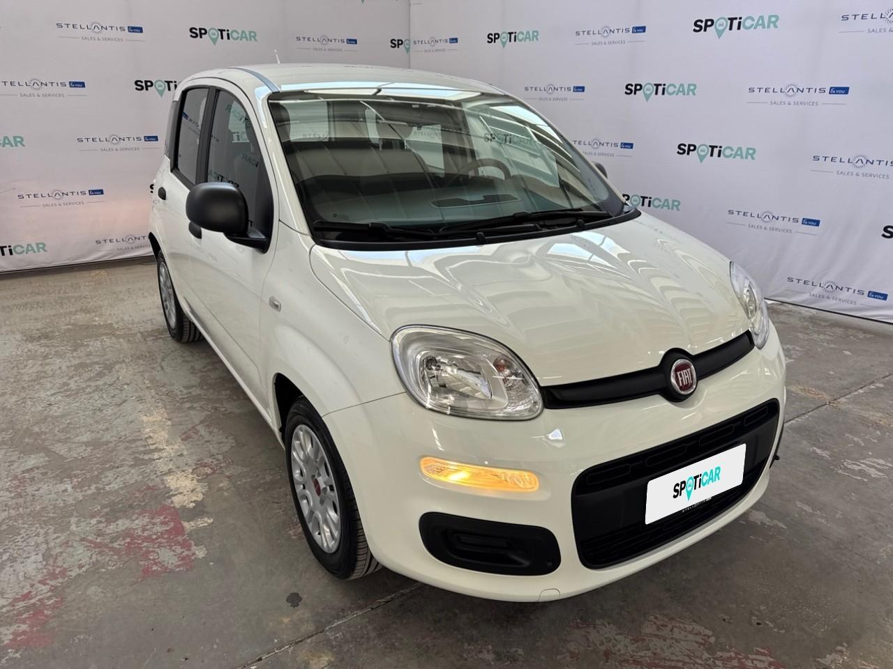 Fiat Fiat Panda usata 15