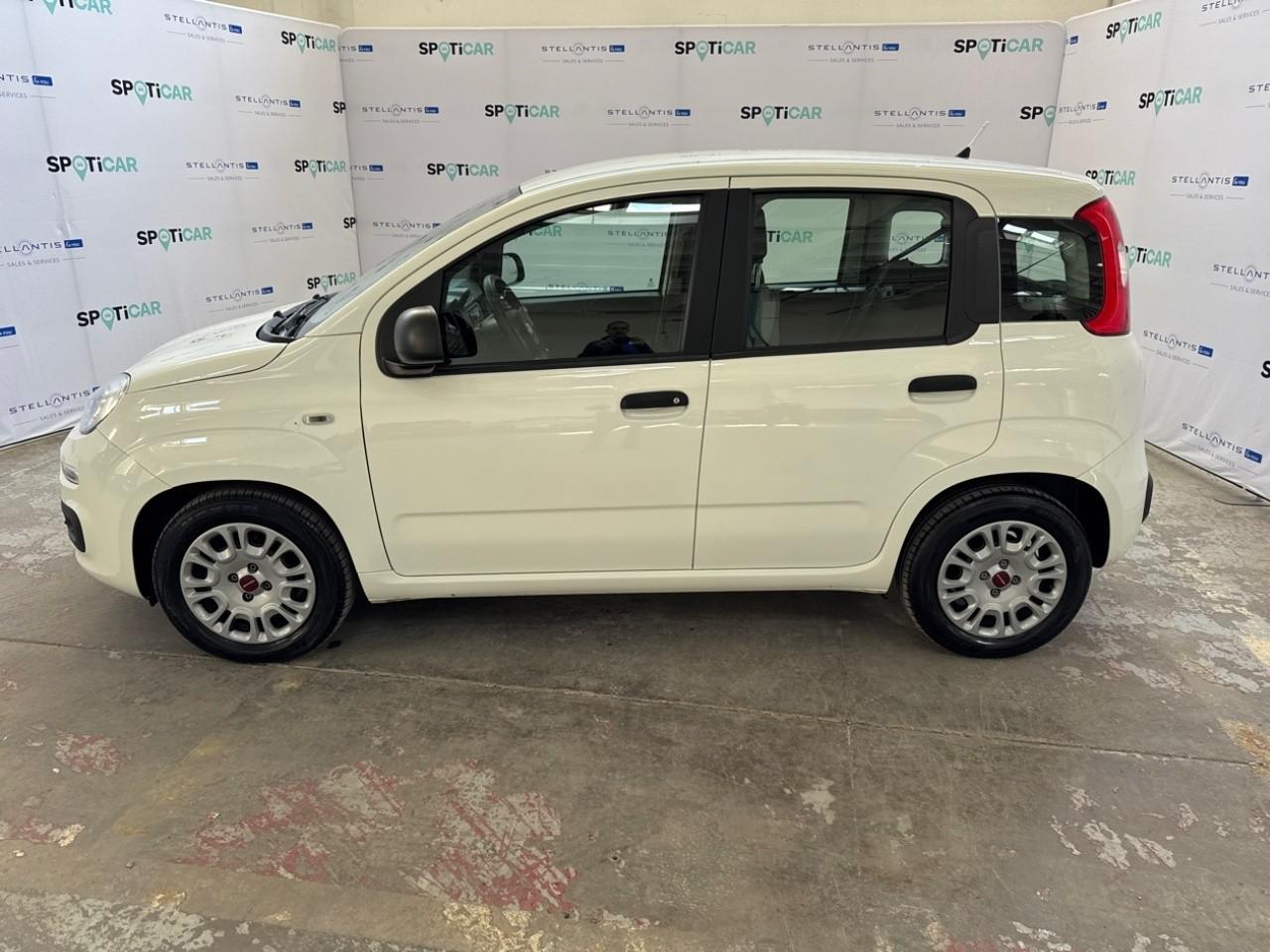Fiat Fiat Panda usata 16