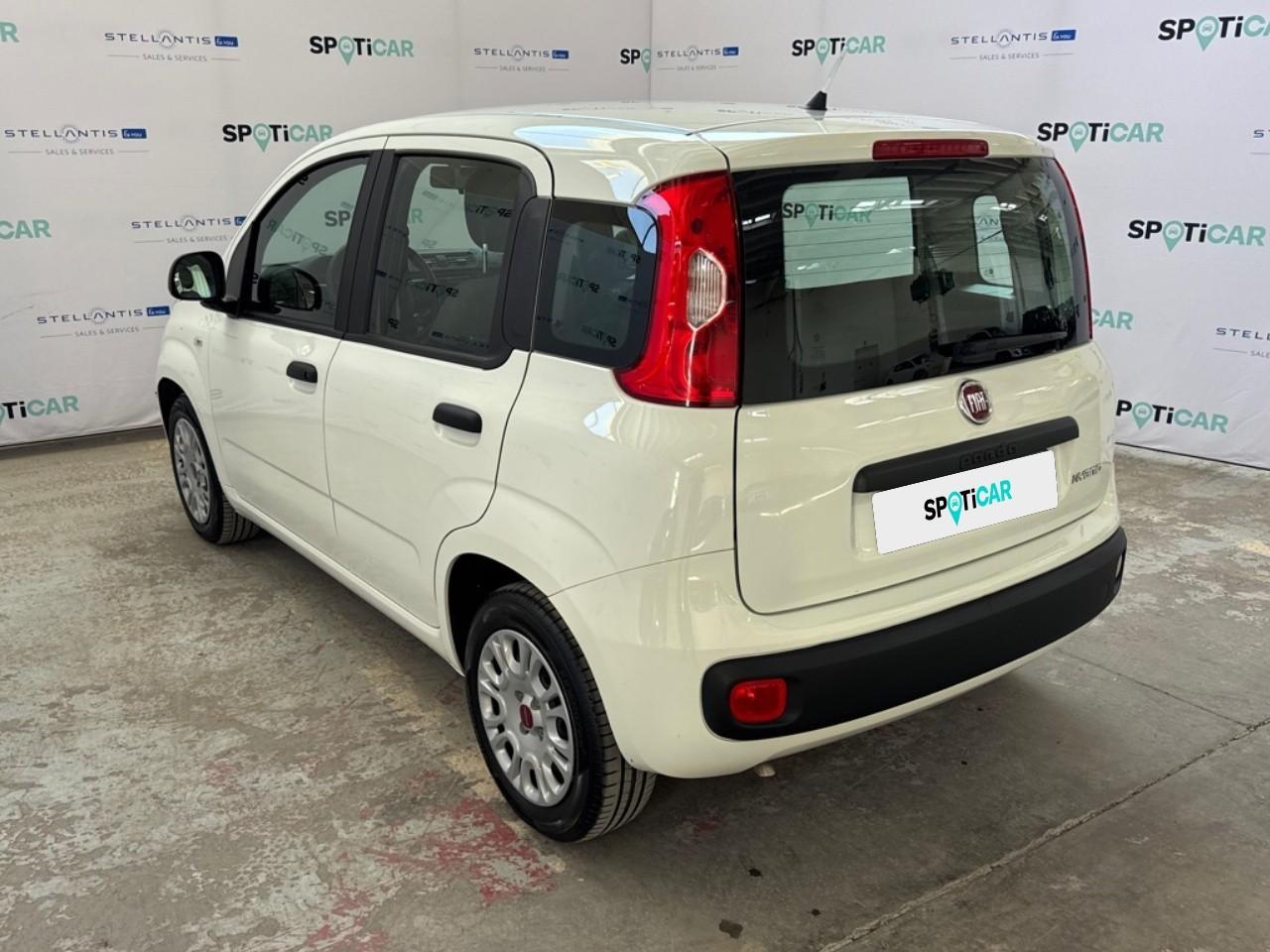 Fiat Fiat Panda usata 19