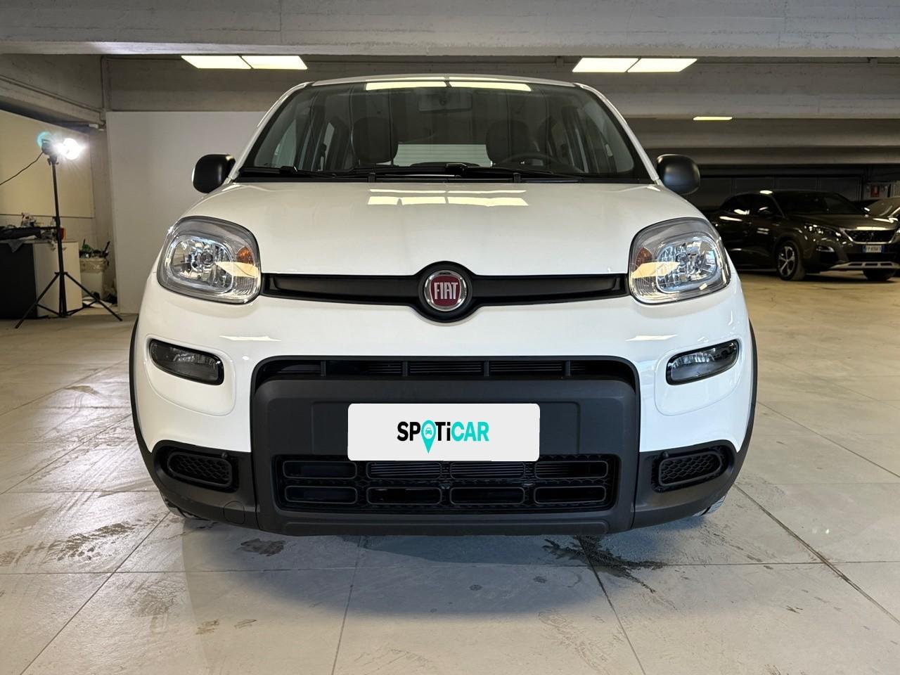 Fiat Fiat Panda usata 11