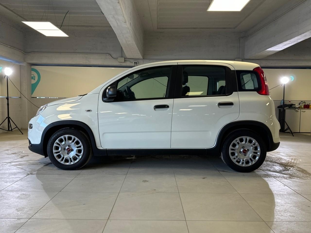 Fiat Fiat Panda usata 14