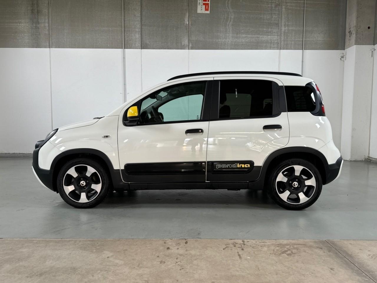 Fiat Fiat Panda usata 14