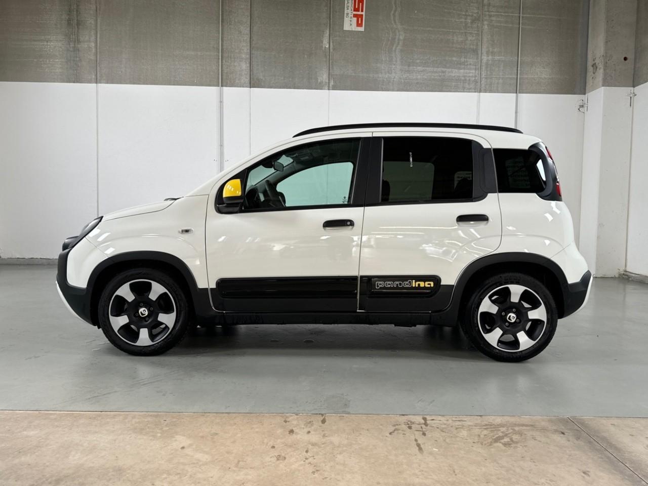 Fiat Fiat Panda usata 14