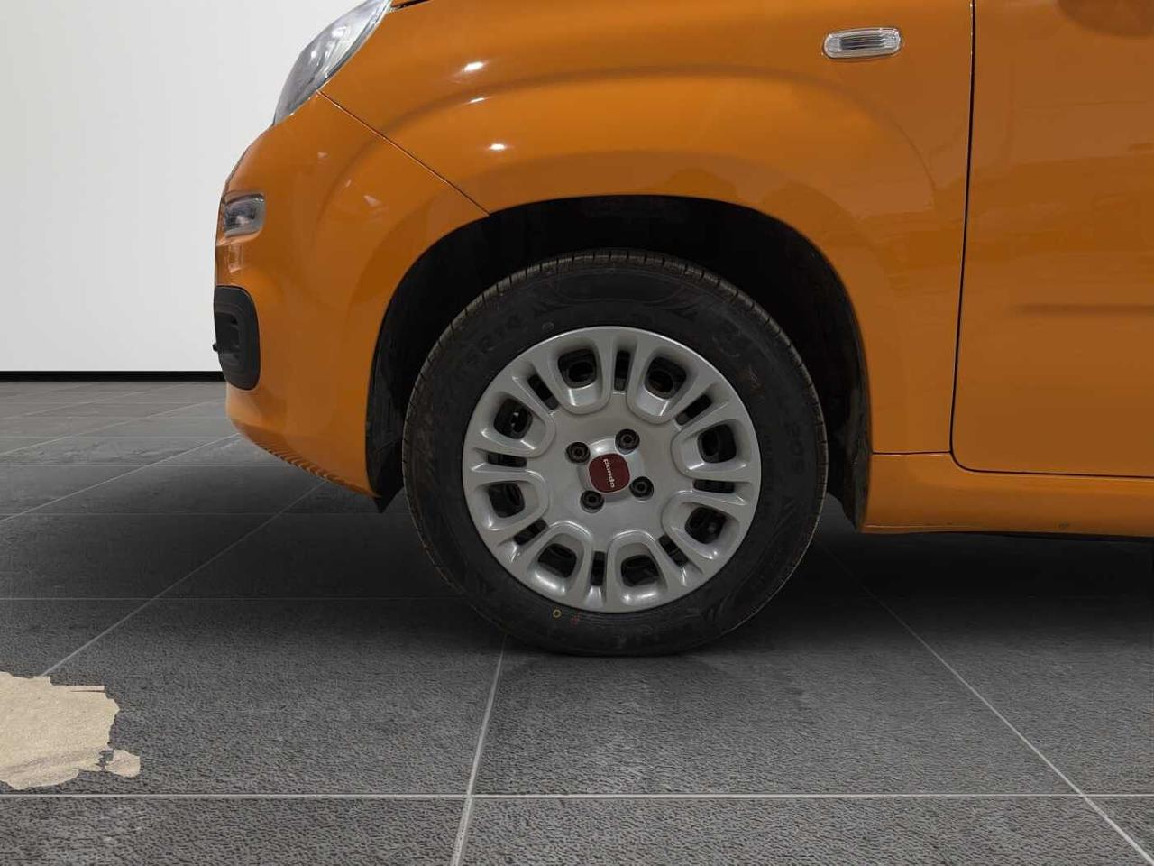 Fiat Fiat Panda usata 10