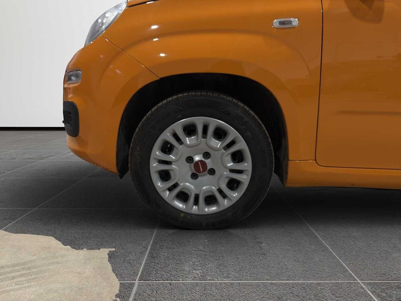 Fiat Fiat Panda usata 14
