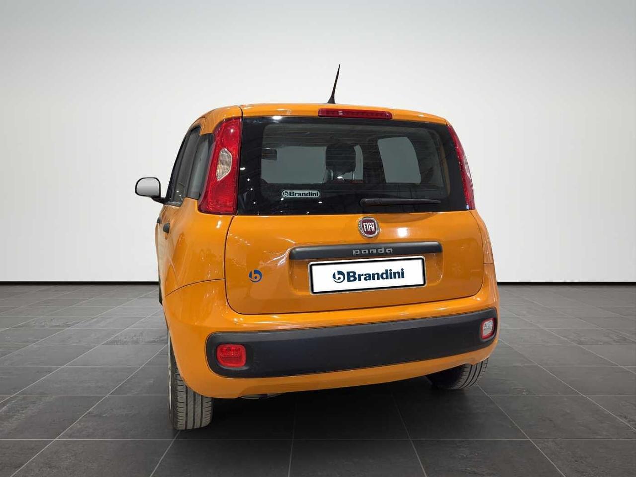 Fiat Fiat Panda usata 17