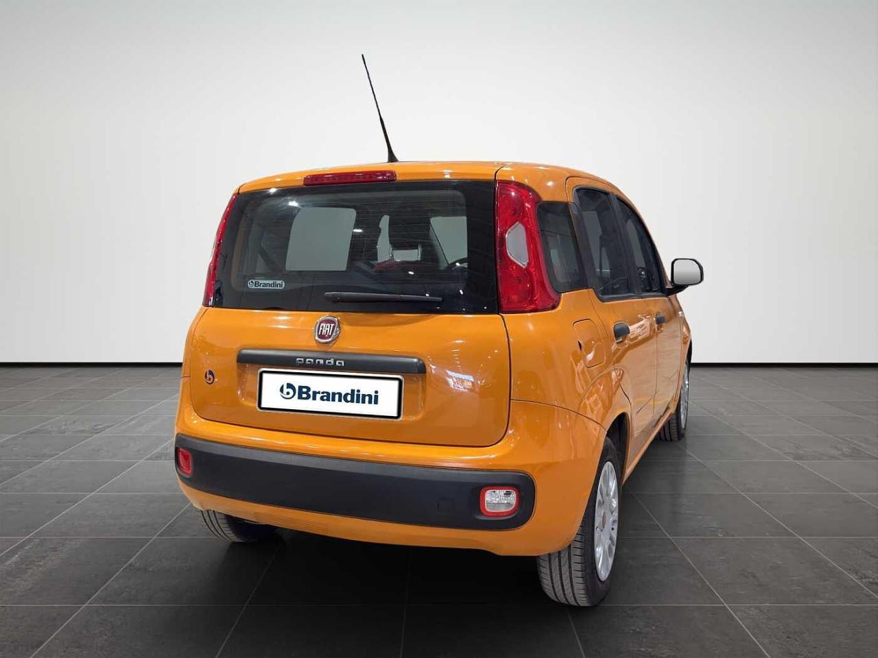 Fiat Fiat Panda usata 19