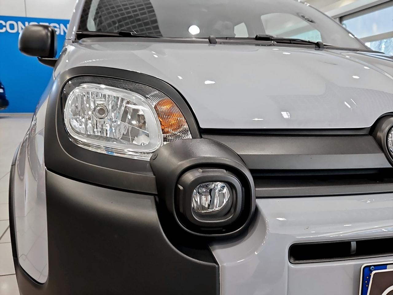 Fiat Fiat Panda usata 13