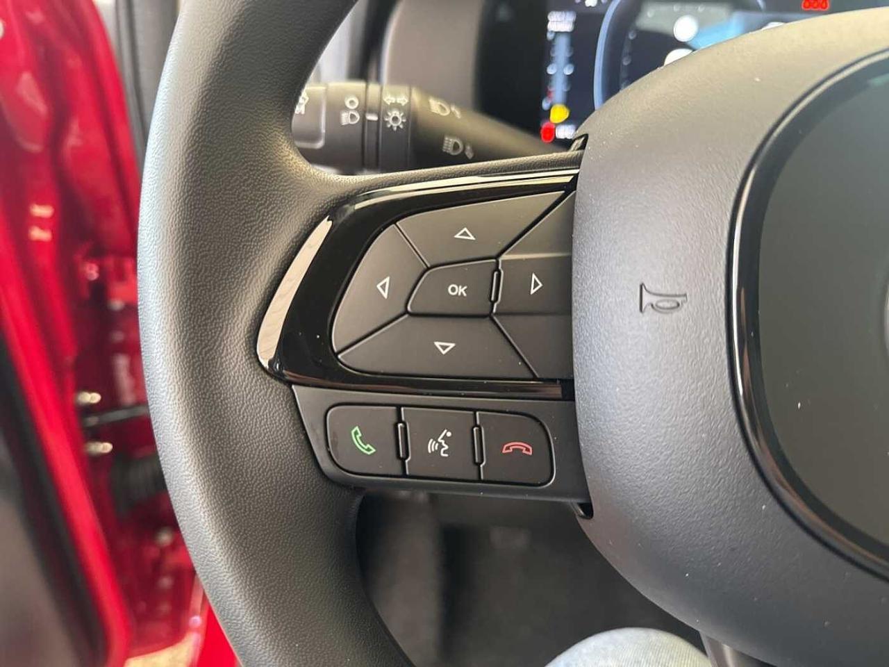 Fiat Fiat Panda usata 12