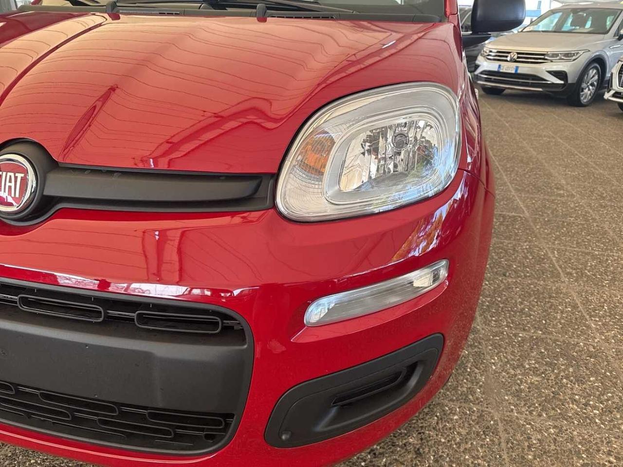 Fiat Fiat Panda usata 16