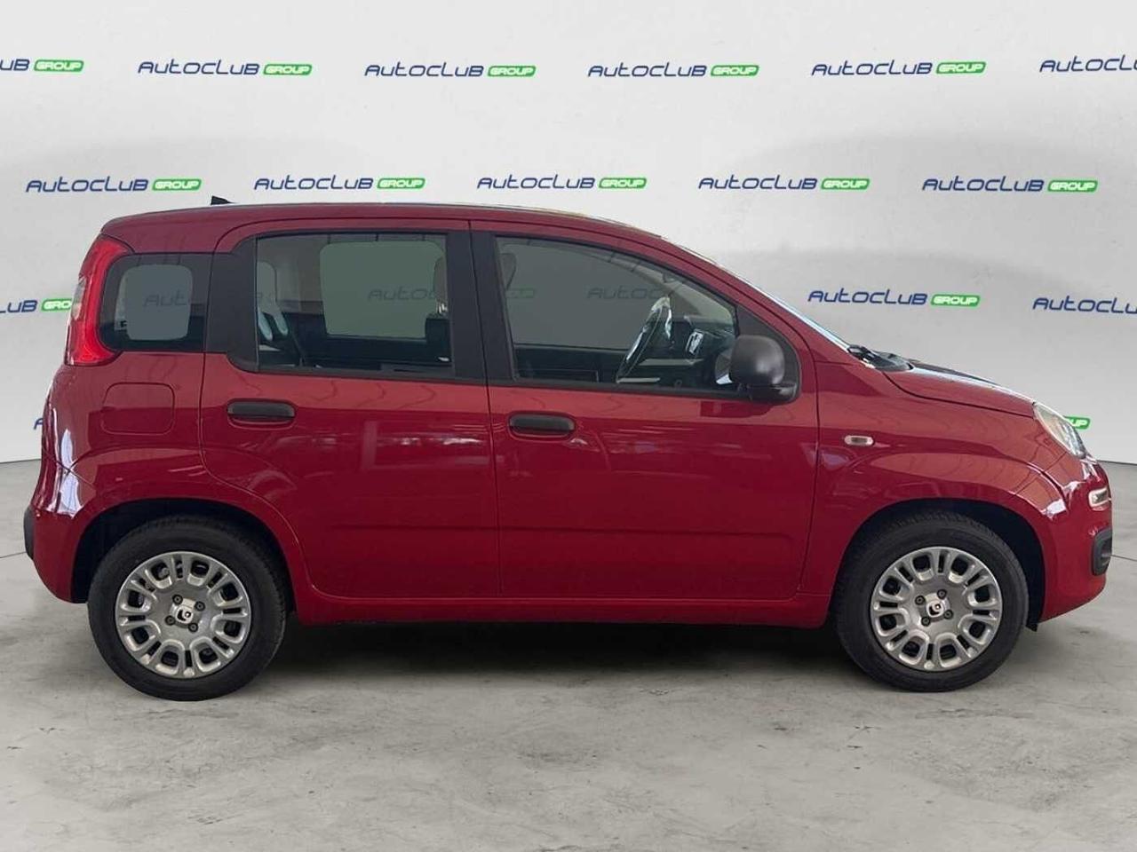 Fiat Fiat Panda usata 18