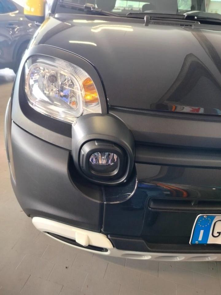 Fiat Fiat Panda usata 4