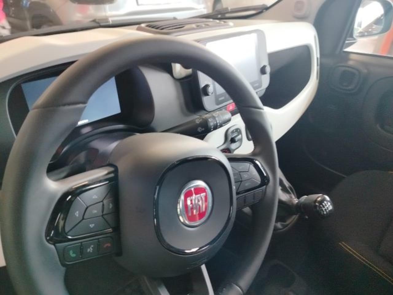 Fiat Fiat Panda usata 6