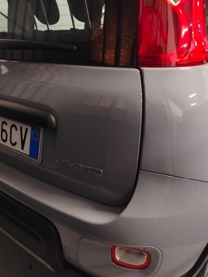 Fiat Fiat Panda usata 3
