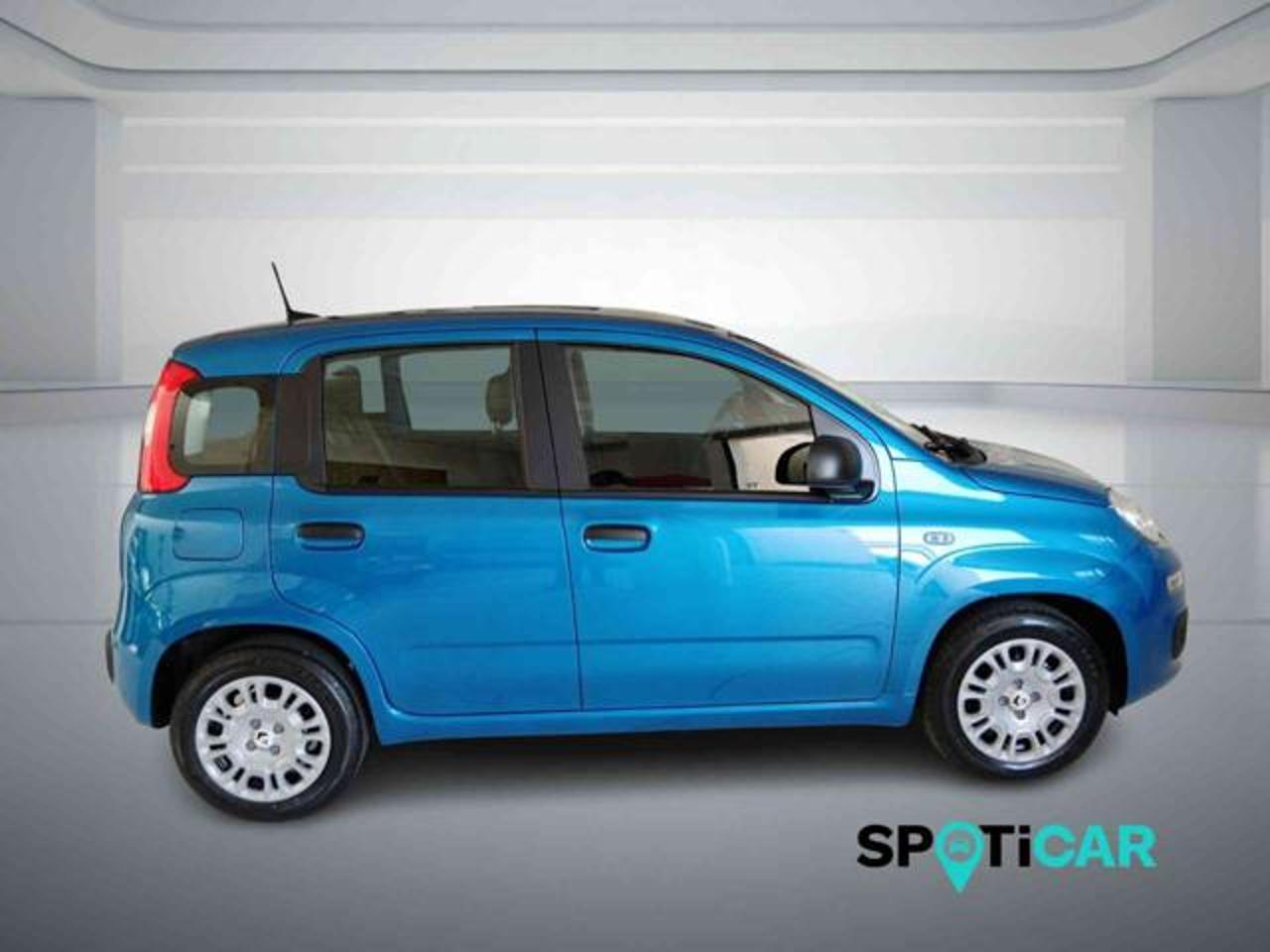 Fiat Fiat Panda usata 9