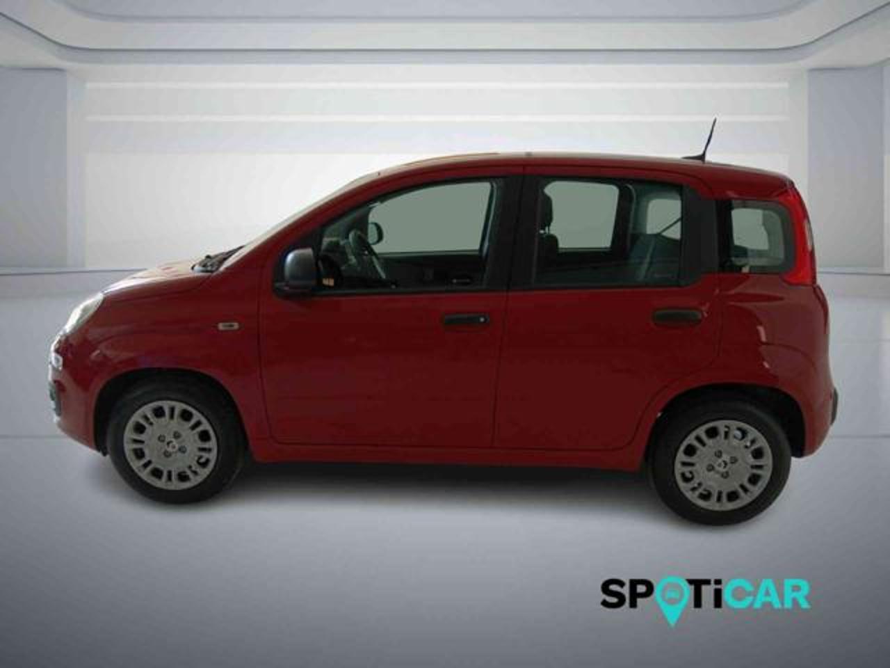 Fiat Fiat Panda usata 17