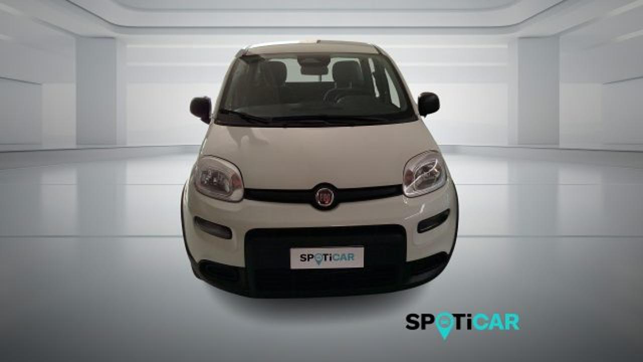 Fiat Fiat Panda usata 11